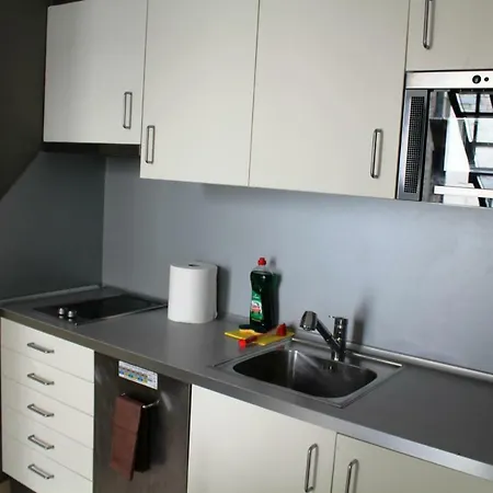 Cinc Balcons Apartment